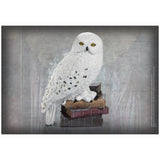 Fantastic Beasts - Magical Creatures #1 – Hedwig Collectibles