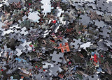 Trefl - 1000 pieces puzzle - fascinating glimpse